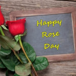 Happy Rose Day 2017 Wishes: Greetings, Images, Wallpaper, Shayari for Your Loved Ones