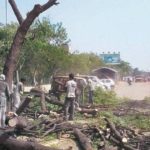 NHAI chops down over 8000 trees in Gurugram to build flyovers