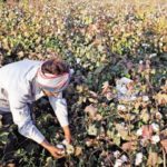 2 Bathinda Farmers Commit Suicide