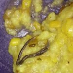 Baby snake found in mid-day meal in government school in Faridabad