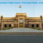 Declare cow national animal, says Rajasthan HC judge, among a few other things
