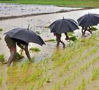 Here are 3 stocks that may shower you with gains this monsoon