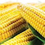 Excess cashew can cause stones