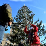 Rome Launches Investigation into Christmas Tree's Premature Death