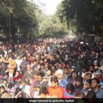 Jignesh Mevani's Delhi Rally On Despite No From Police: 10 Facts